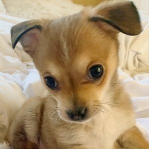 Meet your Posher, Emmy
